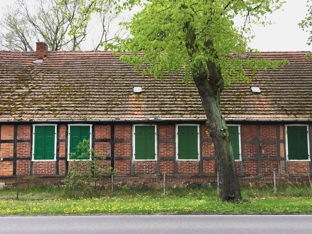 Private, »Dorfstraße«, 2017–